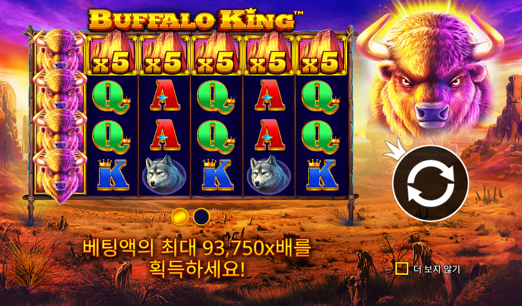 Buffalo King